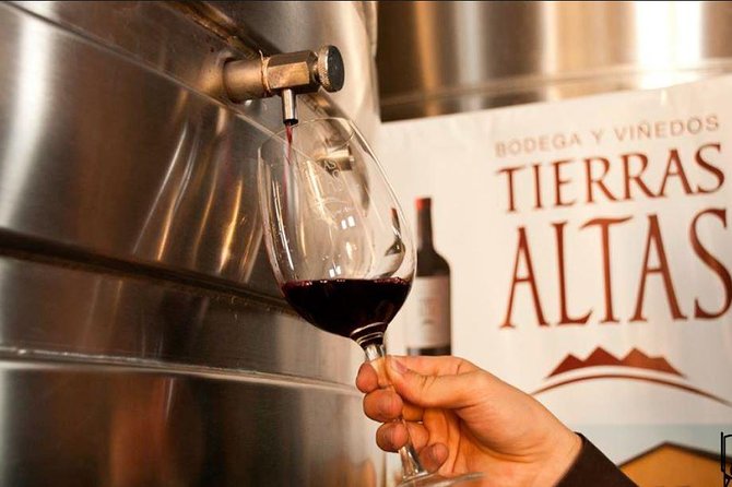 Malbec Experience in Bodega Tierras Altas - Experience Overview