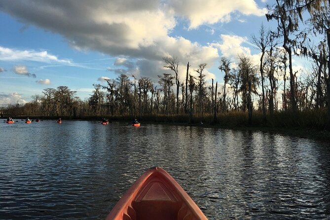 Manchac Swamp Kayak Small-Group Tour - Reviews and Ratings