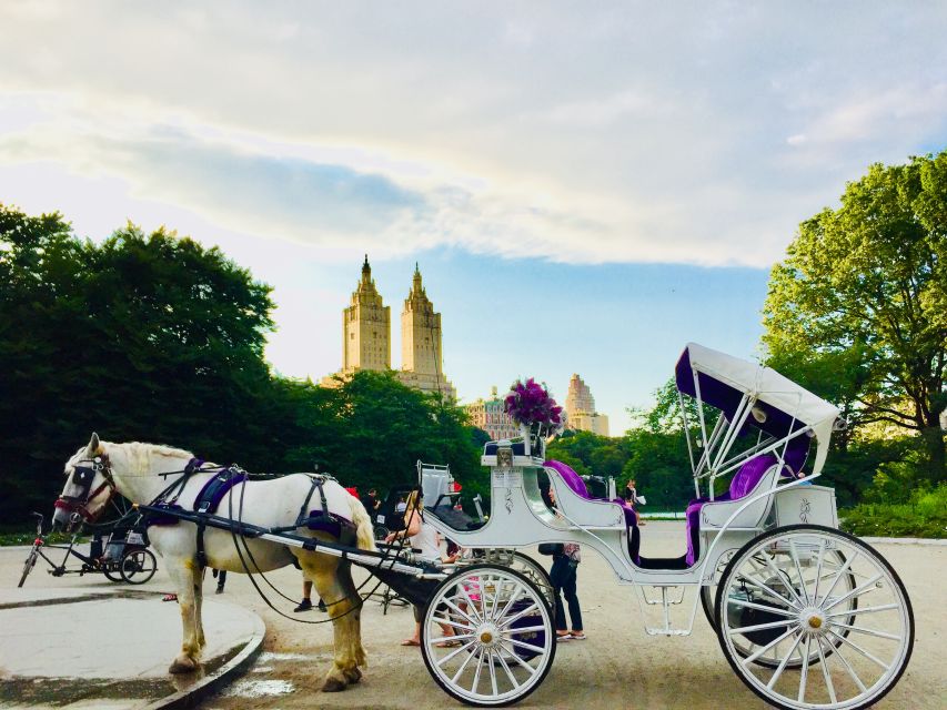 Manhattan: VIP Private Horse Carriage Ride in Central Park - Experience Highlights