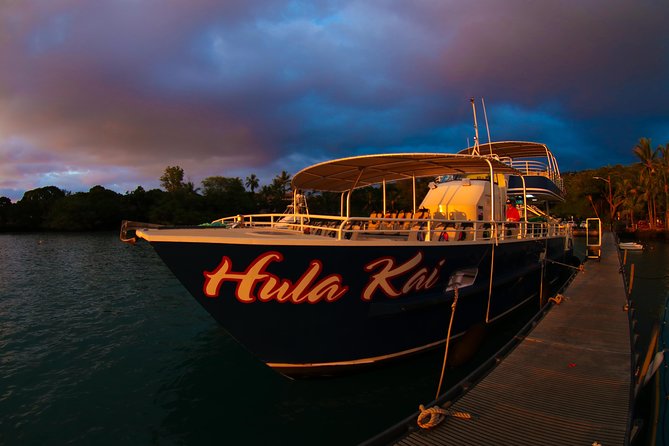 Manta Ray Night Snorkel Tour From Kona - Tour Experience