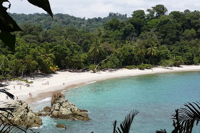 Manuel Antonio National Park Sightseeing and Wildlife Day Tour From San Jose - Wildlife Spotting Opportunities