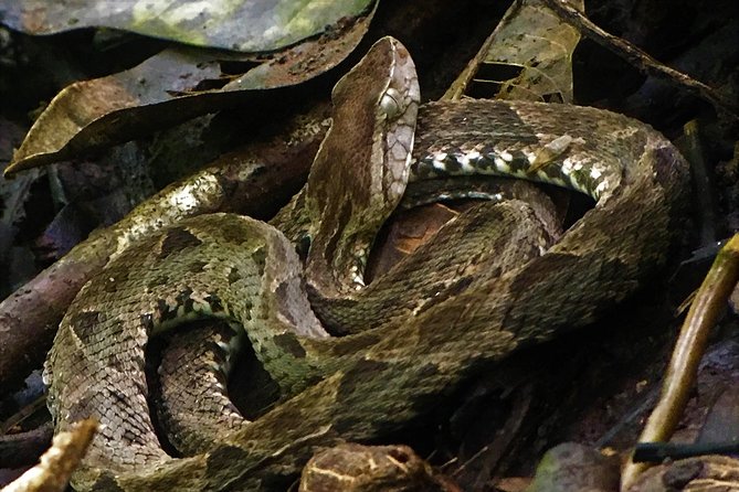 Manuel Antonio Park Tour and Its Amazing Wildlife and Beaches - Wildlife Encounters and Park Beauty