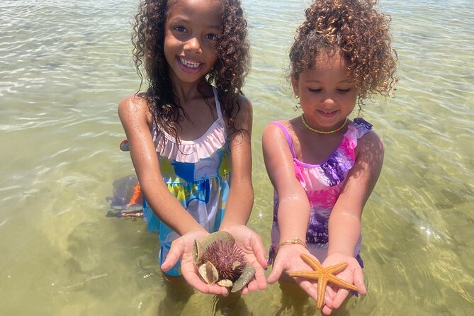 Marco Island Wildlife Sightseeing and Shelling Tour - Shelling Activity Information