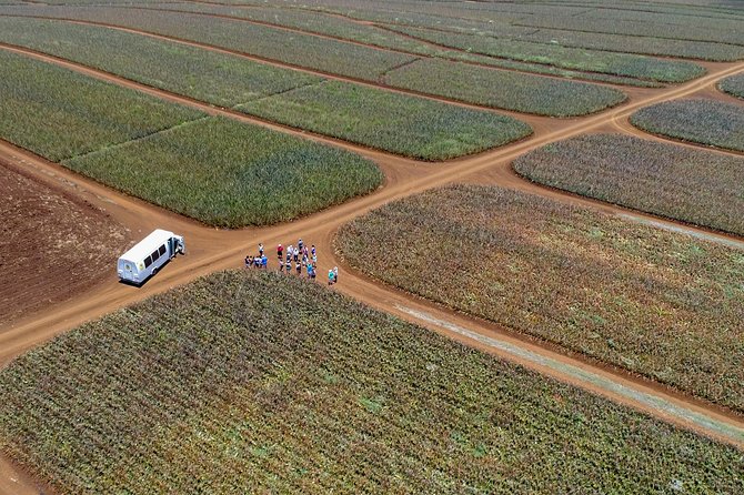 Maui Pineapple Farm Tour in Haliimaile - Inclusions and Policies