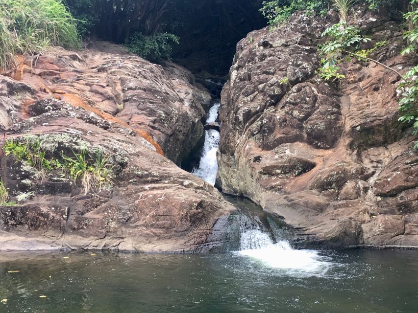 Maui: Private Jungle and Waterfalls Hiking Adventure - Experience Highlights