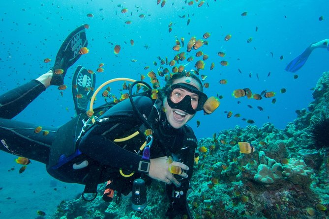 Maui Scuba Diving Introductory Lesson From Lahaina - Inclusions and Benefits