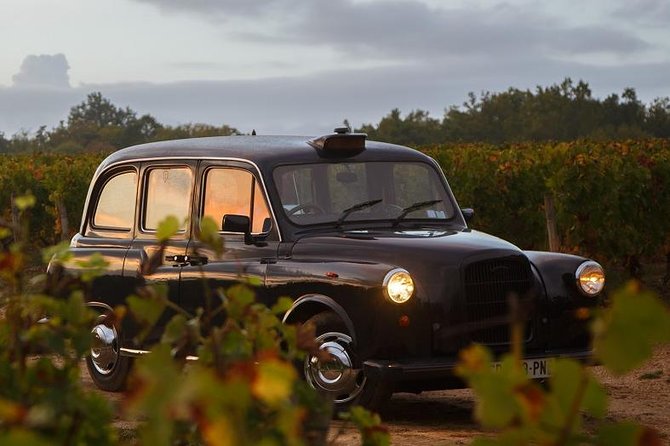 Médoc Region Local Castle Visits Day Trip With Wine Tasting From Bordeaux - Wine Tasting Experience