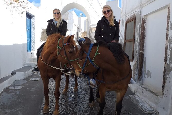 Megalochori Horseback Excursion  - Santorini - Meeting and Logistics