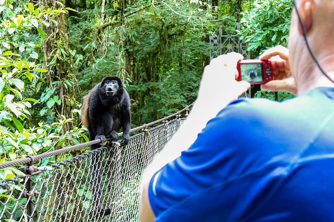 Mistico Park Hanging Bridges Guided Tour - Nature Immersion