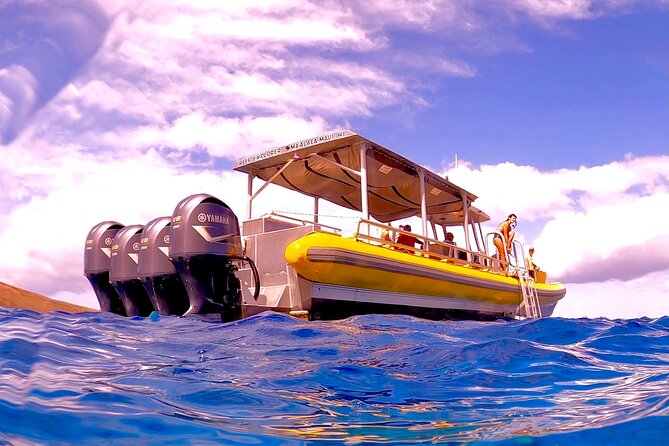 Molokini Crater Zodiak Adventure - Snorkel and Turtle Cove Swim - Participant Requirements
