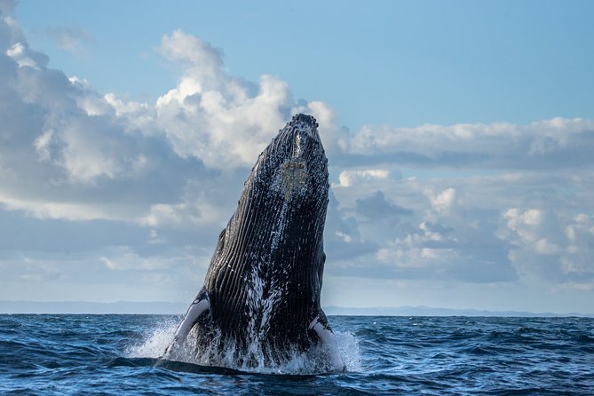 Monterey Bay Whale Watching - Inclusions and Requirements