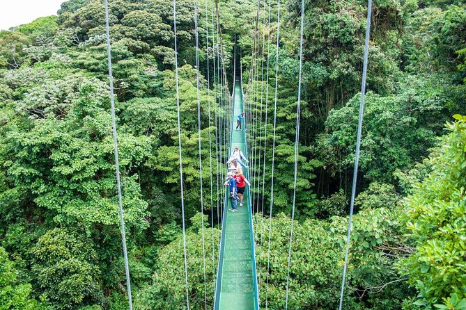 Monteverde Sky Tram & Hanging Bridges Cloud Forest Tour From San Jose - Traveler Reviews and Experiences