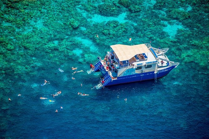 Morning Kealakekua Snorkel Tour - Snorkeling Experience