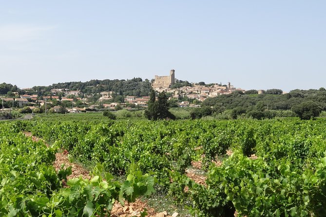 Morning Wine Tour to Chateauneuf Du Pape From Avignon - Inclusions and Ending Details