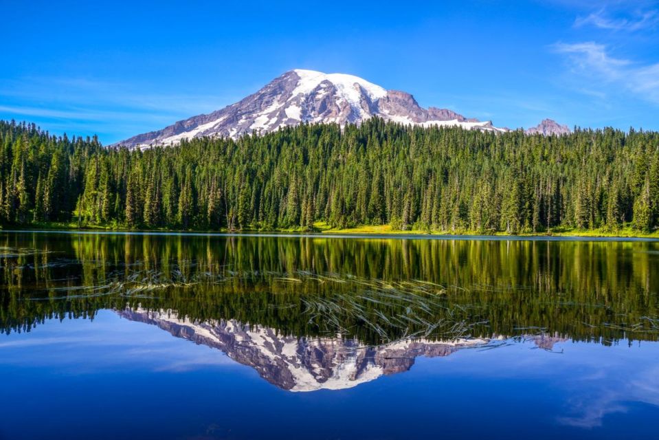 Mount Rainier National Park:Nature, Waterfalls,and Wildlife - Captivating Waterfalls in the Park