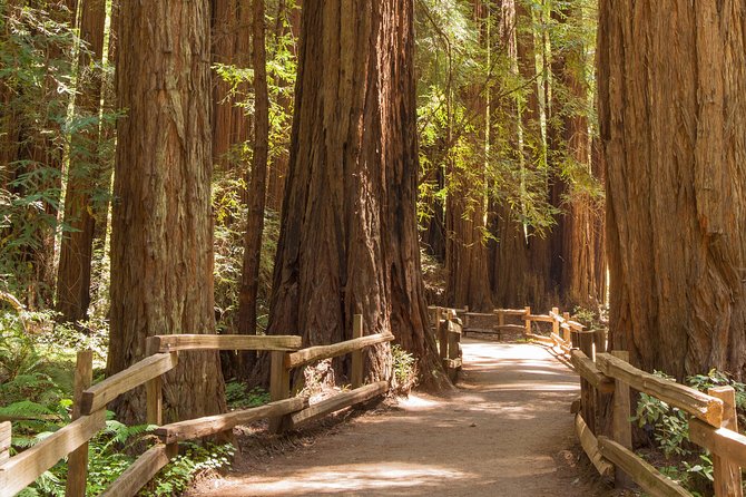 Muir Woods and Sausalito Small-Group Tour - Booking Details and Options