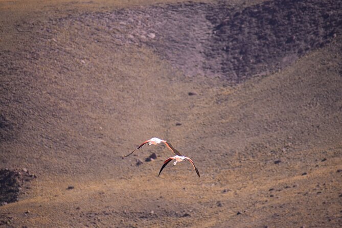 Multi-Day Tour in San Pedro De Atacama With Pickup - Pricing and Inclusions Details