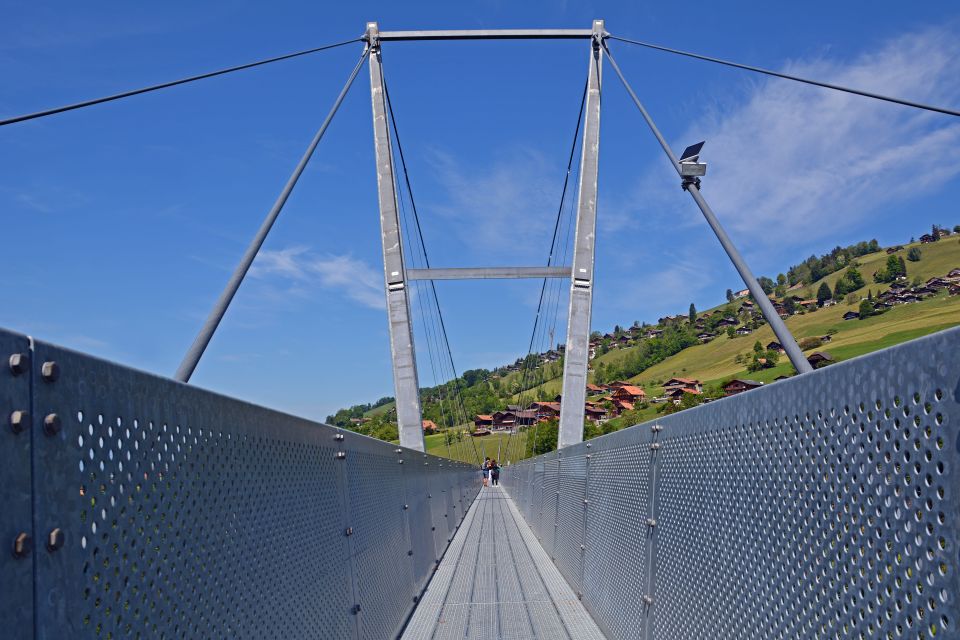 Nature Park Blue Lake, Panorama Bridge and Lake Thun Cruise - Guided Tour Information