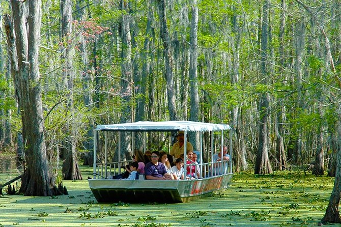 New Orleans Self-Transport Swamp and Bayou Boat Tour - Boat Tour Itinerary