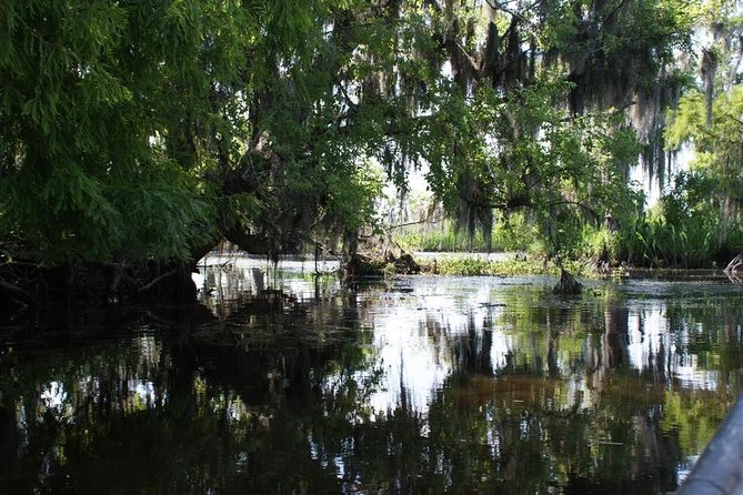 New Orleans Small-Group Airboat Swamp Tour - Traveler Experience