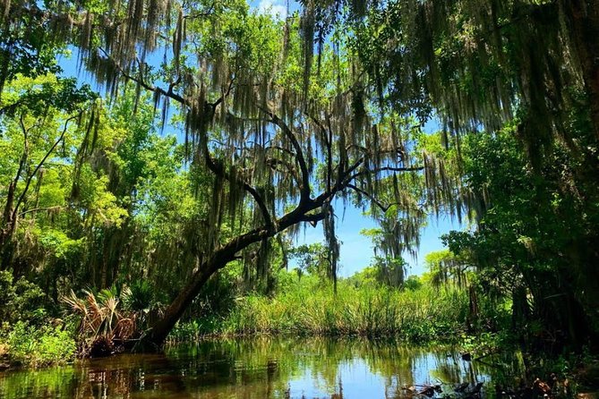 New Orleans Swamp Tour Boat Adventure With Transportation - Reviews and Customer Feedback