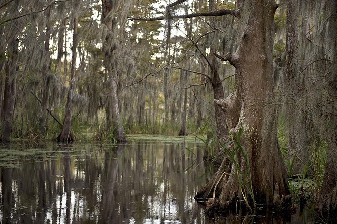New Orleans Swamp Tour Boat Adventure - Weather and Cancellation Policy