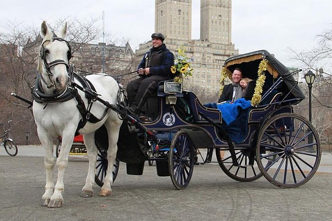 New York City: Central Park Private Horse-and-Carriage Ride - Cancellation Policy