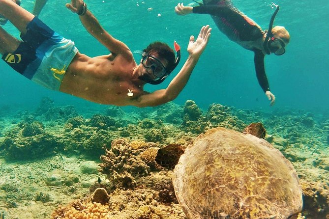 North Shore Circle Island Adventure Including Snorkeling With the Turtles - Tour Highlights
