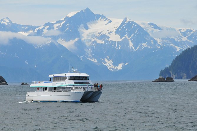 Northwestern Fjord Sightseeing Cruise From Seward - Customer Feedback & Reviews