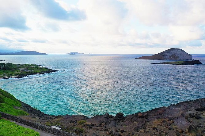 Oahu Circle Island - North Shore Snorkeling Tour (Dole & Temple) - Tour Highlights and Experiences