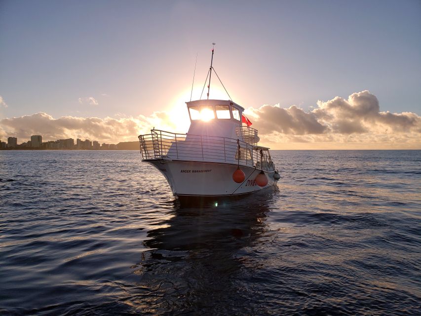 Oahu Night Dive: Adventure for Certified Divers - Marine Life Encounters