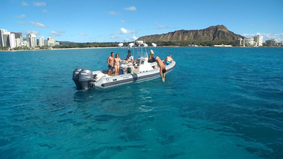 Oahu: Waikiki Private Snorkeling and Wildlife Boat Tour - Experience Highlights