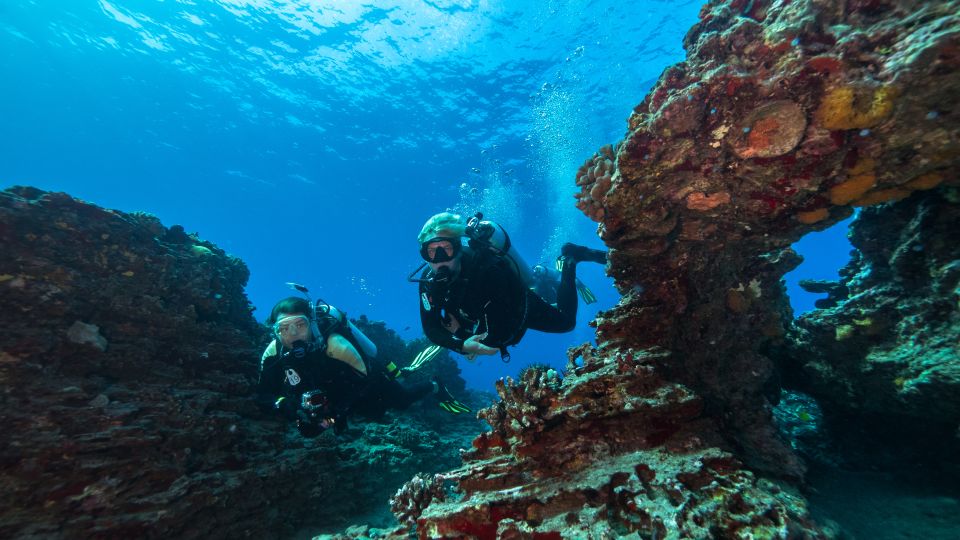 Oahu: Wreck & Reef Scuba Dive for Certified Divers - Experience Highlights