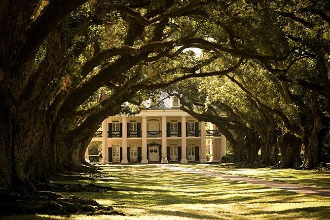 Oak Alley Plantation and Small Airboat Tour From New Orleans - Cancellation Policy