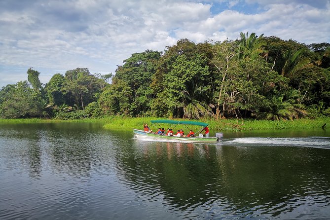 Ocean to Ocean Panama Canal and Jungle Tour - Wildlife Experience