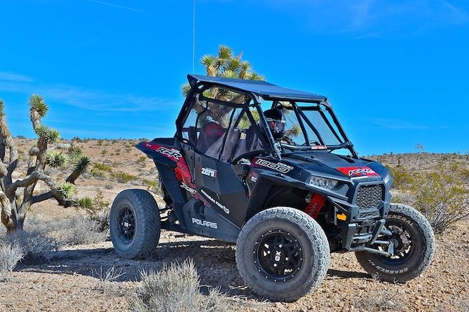 Off Road Mojave Desert Tour in Las Vegas - Logistics and Transportation