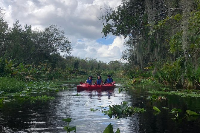 Orlando Manatee Encounters - Additional Information