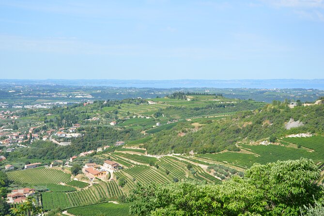 Pagus Wine Tours - a Taste of Valpolicella - Half Day Wine Tour - Local Sommelier Insights