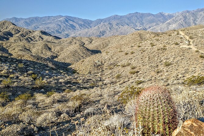 Palm Springs Hike to an Oasis and Amazing Desert Views - Inclusions and Recommendations