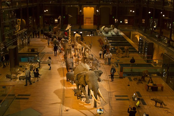 Paris Private Family Tour - City Highlights & the Best Museum for Kids - Iconic Landmarks Visited