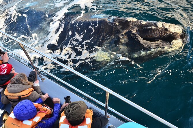 Peninsula Valdes Tour With Optional Whale Watching - Booking Details