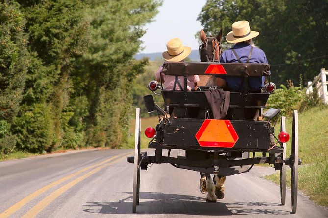 Premium Amish Country Tour Including Amish Farm and House - Meeting and Pickup