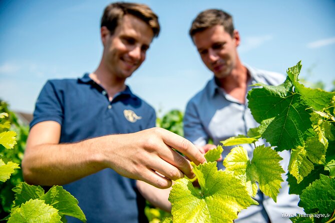 Private Champagne Tour, Family Growers and Lunch - Lunch Experience