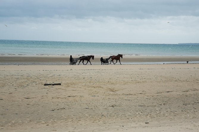 Private Day Tour Including Normandy Landing Beaches & Battlefields From Bayeux - Cancellation Policy Details