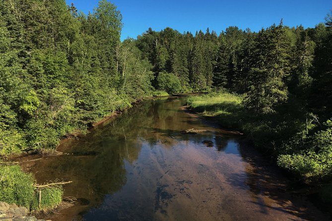 Private Four-Hour Guided Fly Fishing Experience  - Prince Edward Island - Logistics