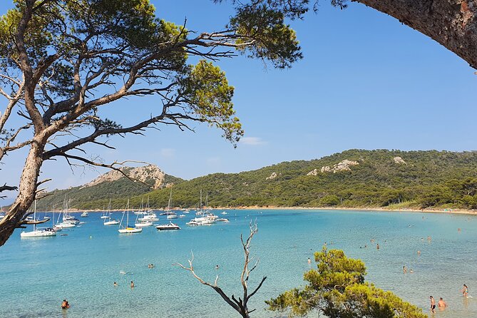 Private Full-Day Boat Trip to Porquerolles - Island Exploration