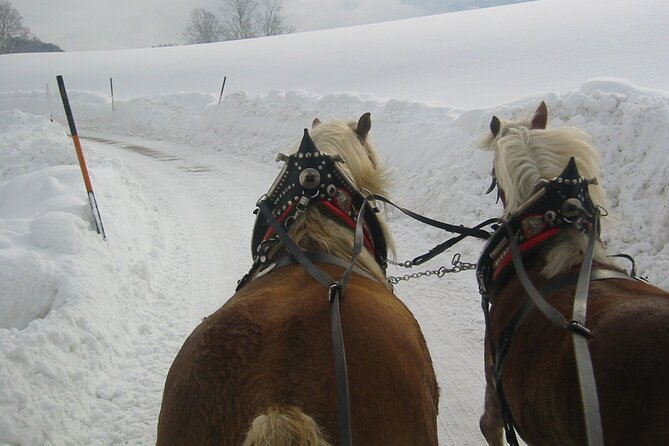 Private Horse-Drawn Sleigh Ride From Salzburg - Hear From Our Guests