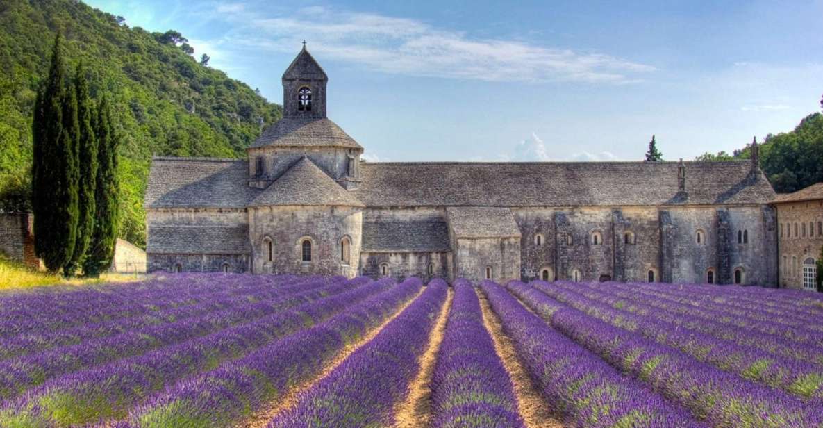 Private Lavender of Provence Tour - Tour Description