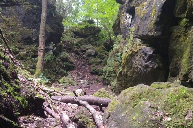 Private Singhampton Caves Hike, Collingwood/Blue Mtn/Creemore - Expectations and Requirements for Participants