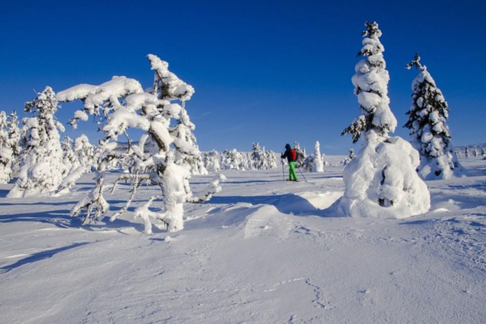 Private Snowshoeing Night Trip and Dinner in a Refuge - Experience Highlights